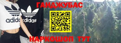 индика Бийск