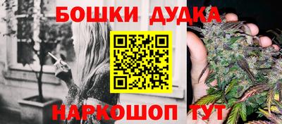 индика Бийск